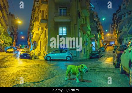 Bulldog auf den Straßen von Athen bei Nacht Stockfoto