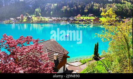 Atemberaubende idyllische Naturkulisse des Brienzer Bergsees. Schweiz, Kanton Bern. Iseltwald Dorf umgeben türkisfarbenes Wasser Stockfoto