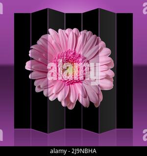 Rosa Gerbera auf dunklem Hintergrund. Die Blume spiegelt sich. Stockfoto