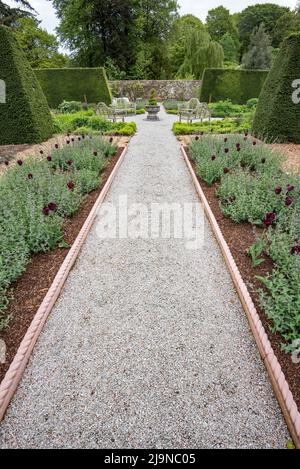 Ein eher formeller Teil des Gartens, der nur einer von mehreren verschiedenen Gartenbereichen im Threave Garden's bei Castle Douglas in Dumfries & Galloway ist. Stockfoto