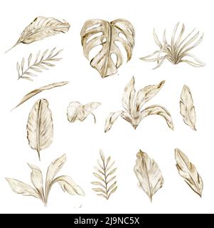 Aquarell Set aus tropischen Blättern, Aquarell tropischen Dinosaurier, handbemalt niedlichen Dinosaurier. Dino Illustration für Design, Tapete, Scrapbooking Stockfoto