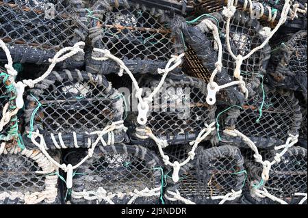 Fischfalle für Hummer und Krabben. Abstraktes Muster, Devon, Großbritannien. Blaue Hummer-Töpfe. Stockfoto