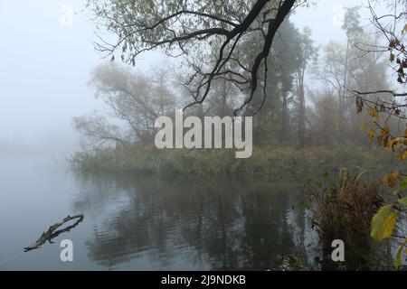 Nebel über dem Waldsee Stockfoto