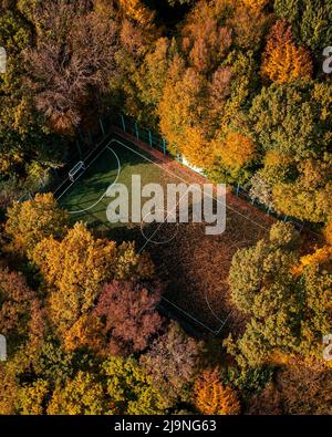 Draufsicht auf einen Fußballplatz im Wald im Herbst, hohe Bäume rund um das Stadion Stockfoto