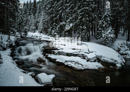 Winterwasserfall und Kaskaden im Riesengebirge in der Nähe von Spindleruv Mlyn, Tschechische Republik. Verschneite gefrorene Landschaft. Wilder Strom, Gelassenheit, Reisen im Hintergrund, Stockfoto