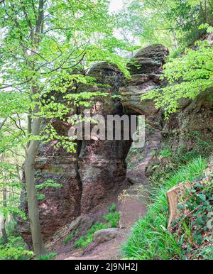 Felsloch in einem Sandstein namens 'Hindenburgtor' bei Nideggen im Nationalpark Eifel, Deutschland Stockfoto