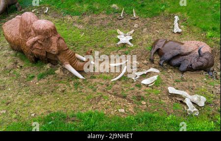 Big Bone Lick in Kentucky Stockfoto