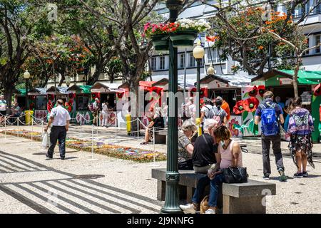 Avenida Arriaga, Funchal, Madeira, speziell dekoriert für das Blumenfest. Stockfoto