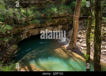 Ein Fluss, der in das unterirdische System des Mammoth Cave National Park mündet Stockfoto