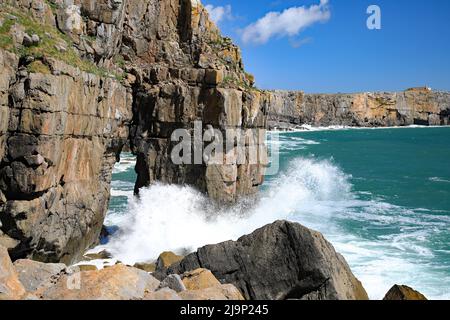 St. Govans Kopf, Pembrokeshire Stockfoto