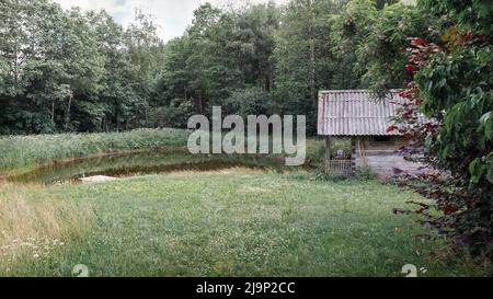 Altes und verlassene Badehaus in der Nähe des Teiches in Wiese, Landwald, Litauen Stockfoto