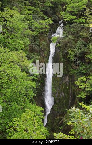 Devil's Bridge Falls, Pontarfynach, Wales Stockfoto