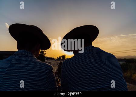 Unverkennbare Männer, die bei Sonnenuntergang eine Pferdekutsche durch die Landschaft fahren. Stockfoto