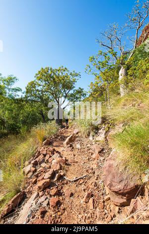 Rocky Walking Trail im Keep River National Park, einem beliebten Touristenziel, Northern Territory, NT, Australien Stockfoto