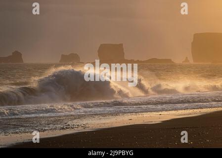 Schönes Abendlicht auf den riesigen Meereswellen und starke Brandung des Reynisfjara Strandes kurz vor Sonnenuntergang, Island, in der Nähe von Vík í Mýrdal und Route 1 / Ri Stockfoto