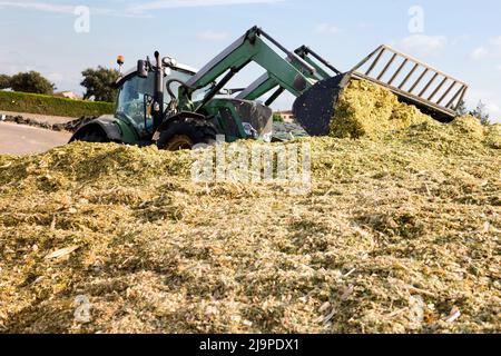 Gewinnung von Silage Stockfoto