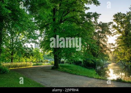 Frühmorgens entlang der Christ Church Meadow Walk am Fluss Cherwell. Oxford, Oxfordshire, England Stockfoto