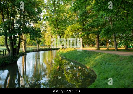 Fluss Cherwell entlang Christ Church Wiesenwanderung an einem frühen Frühlingsmorgen. Oxford, Oxfordshire, England Stockfoto