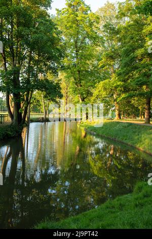 Fluss Cherwell entlang Christ Church Wiesenwanderung an einem frühen Frühlingsmorgen. Oxford, Oxfordshire, England Stockfoto