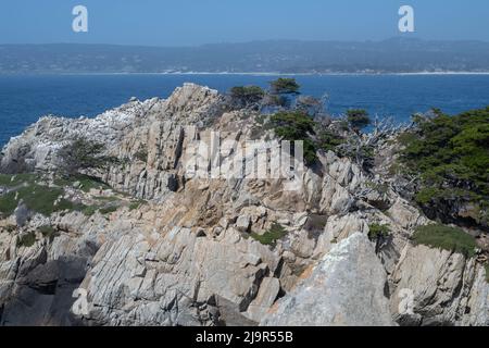 Eine felsige Klippe mit spärlicher Vegetation und monterey Zypresse im Point Lobos State Reserve mit Blick auf monterey Bay in Kalifornien. Stockfoto