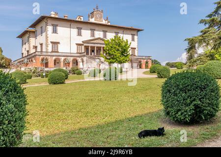 Eine schwarze Katze auf dem Gras mit der Medici-Villa von Poggio a Caiano im Hintergrund, Prato, Italien Stockfoto