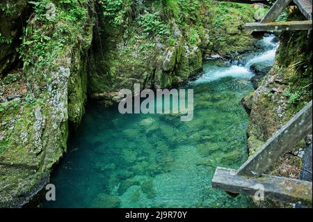 Kleiner Bach, der durch den Canyon fließt Stockfoto