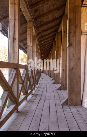 Gehweg entlang des Fort Wall Holzwegs. Stockfoto