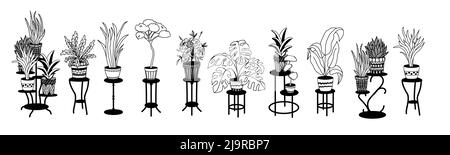 Eine Reihe von Blumen in Töpfen auf Ständer, Wohnkultur. Handgezeichnete, lineare Schwarz-Weiß-Skizze. Große Zimmerpflanzen im Freien. Vektorgrafik Stock Vektor