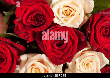 Großer roter und gelber Rosenstrauß Hintergrund, Draufsicht. Stockfoto