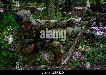 Soldaten des Bataillons 2., 327. Infanterie-Regiment „No Slack“, 1. Brigade Combat Team, 101. Airborne Division (Air Assault), führten während der Operation Lethal Eagle 2, Fort Campbell, Ky, eine Situationsübung durch. Die situationsbezogene Trainingsübung bestand aus einer Flugmission, der Einrichtung eines objektiven Rally-Punktes und der Reaktion auf den Kontakt. Stockfoto