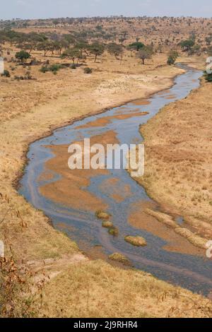 Afrika, Tansania, Tarangire-Nationalpark. Blick auf den Fluss, der durch den Tarangire National Park fließt. Stockfoto