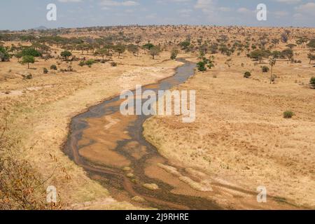 Afrika, Tansania, Tarangire-Nationalpark. Blick auf den Fluss, der durch den Tarangire National Park fließt. Stockfoto