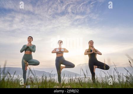 Vorderansicht des Baumes hübsche Frauen, die die Kamera betrachten und die Pose des Baumes mit den Händen in Namaste halten. Attraktive weibliche Ekapada Asana von Yoga am Morgen. Karpaten im Nebel auf dem Hintergrund. Stockfoto