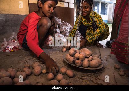 24. Mai 2022, Tehatta, Westbengalen, Indien: Die westbengische Regierung hat Schulen der staatlichen Regierung angewiesen, während der Sommerferien Mittagsessen an Eltern von Schülern zu verteilen, damit den bedürftigen Kindern das Programm nicht entzogen wird. In der Mitteilung hieß es, dass jeder Schüler 2 kg Reis, 2 kg Kartoffeln, 250 Gramm Zucker, 250 Gramm Hülsenfrüchte und ein Stück Seife erhalten würde. So kamen die Schüler in den Sommerferien an eine Grundschule, um ihre Essensartikel zu holen, und einige von ihnen helfen auch, Lebensmittel im Nabin Nagar, Westbengalen, zu geben. (Bild: © Soumrabyata Roy/Pacific Stockfoto