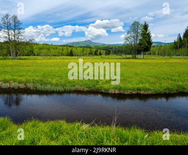 Fluss große Ohe im Nationalpark Bayerischer Wald bei Sankt Oswald, im Hintergrund großer Rachel. Deutschland, Bayern. Stockfoto