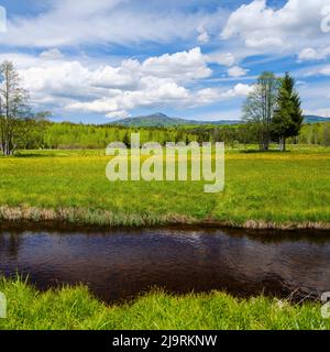 Fluss große Ohe im Nationalpark Bayerischer Wald bei Sankt Oswald, im Hintergrund großer Rachel. Deutschland, Bayern. Stockfoto