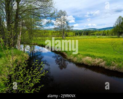 Fluss große Ohe im Nationalpark Bayerischer Wald bei Sankt Oswald, im Hintergrund großer Rachel. Deutschland, Bayern. Stockfoto