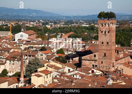 Italien, Toskana, Lucca. Die Dächer des historischen Zentrums von Lucca und der Guinigi-Turm. Stockfoto