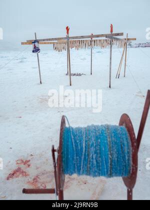 Fischercamp auf dem Meereis eines Fjords. Fischerei im Winter in der Nähe von Uummannaq im nördlichen Westgrönland jenseits des Polarkreises. Grönland, Dänisch te Stockfoto