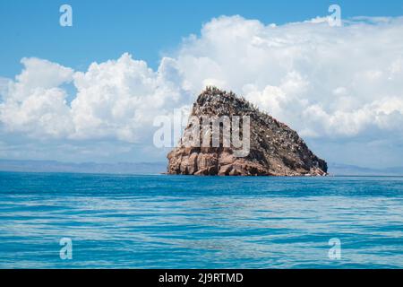 Baja California, Mexiko. Meer von Cortez. Insel. Stockfoto