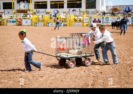 Window Rock, Arizona, USA. Navajo Nation Fair. Kinder, die einen Hühnerstall auf Rädern schieben. (Nur Für Redaktionelle Zwecke) Stockfoto