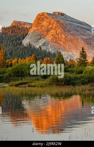 Tuolumne Meadows und Lembert Dome spiegeln sich im Tuolumne River, Yosemite National Park, Kalifornien bei Sonnenuntergang. Stockfoto