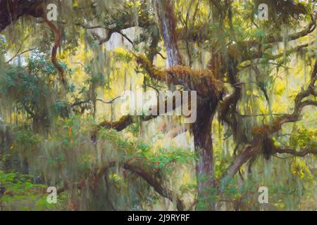 Lebende Eichen drapiert in spanisches Moos, Polk County, Florida Stockfoto