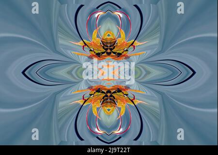 Regen fällt auf japanische Ahornblätter im Herbst, Louisville, Kentucky Stockfoto