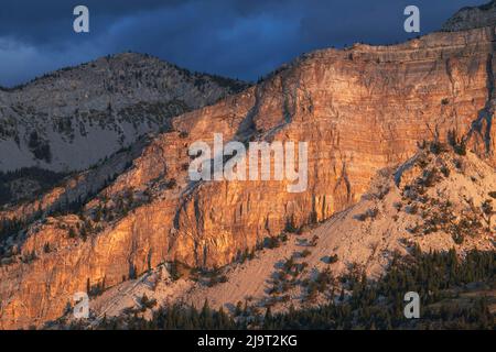 Sonnenaufgang über dem Castle Reef Mountain. Rocky Mountain Front Ranges in der Nähe von Augusta, Montana. Stockfoto