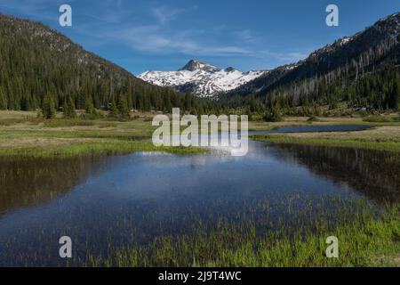 Eagle Cap spiegelt sich in den Teichen des Upper Lostine River, Eagle Cap Wilderness Wallowa Mountains, Oregon, wider. Stockfoto