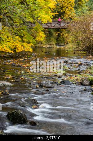 USA, Oregon, Silver Falls State Park. Stromschnellen und Wald im Herbst. Stockfoto