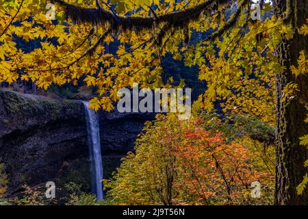 Süden fällt im Herbst bei Silver Falls State Park in der Nähe von Silverton, Oregon, USA Stockfoto
