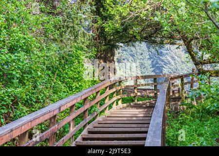 Ecola State Park, Oregon, USA. Treppe zum Strand im Ecola State Park an der Küste von Oregon. Stockfoto