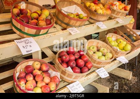 Hood River, Oregon, USA. Arkansas Black Erbstück Äpfel, Rome Äpfel, Northern Spy Äpfel, Forelle Birnen und andere zum Verkauf an einem Obststand. Stockfoto